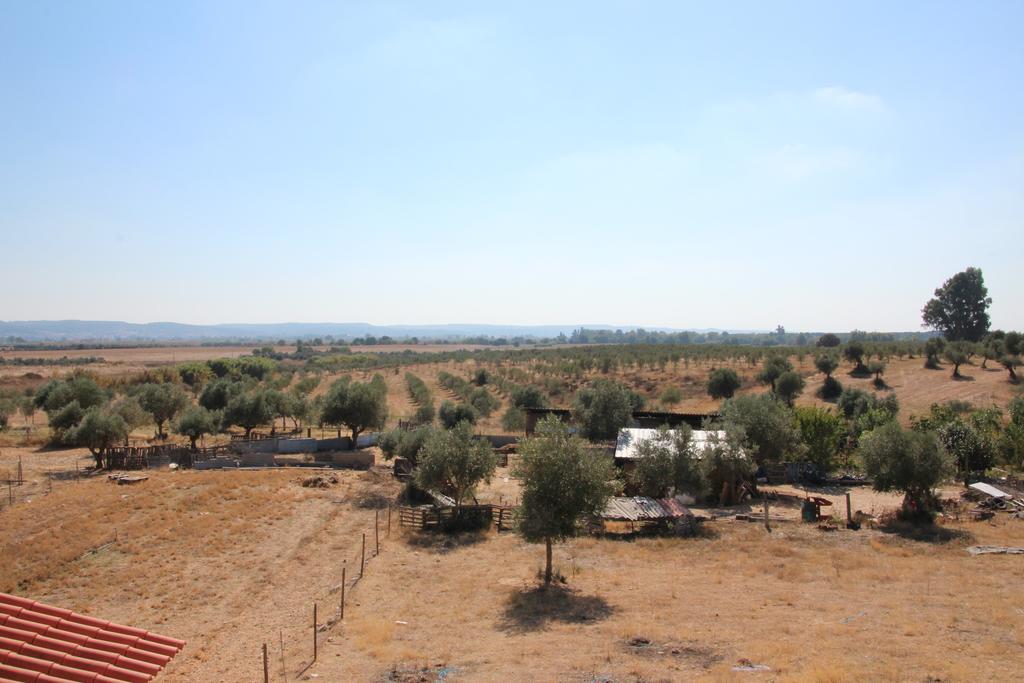 הוילה וילה נובה דה ברקיניה Olive View מראה חיצוני תמונה